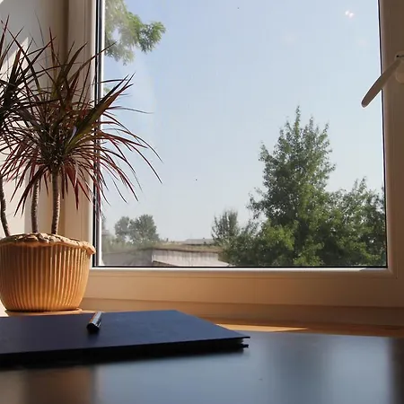 Peipsi House 게스트하우스 칼라스테